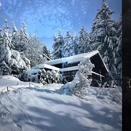 Toccata, Cosy Et Lumineux