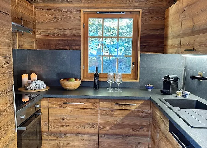 Toccata, Cosy Et Lumineux Les Diablerets