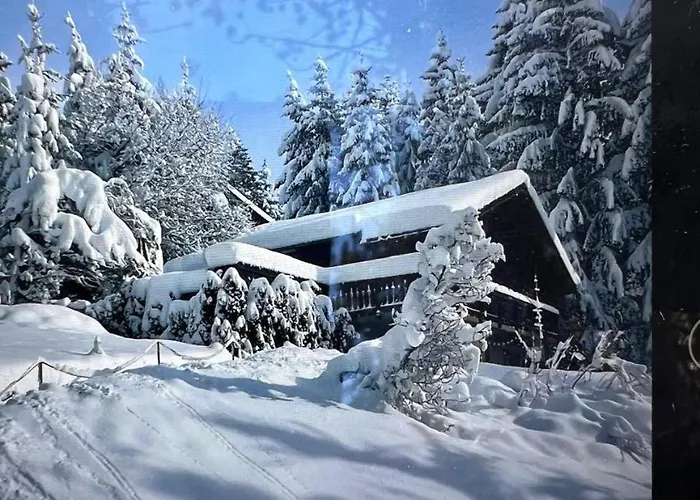 Toccata, Cosy Et Lumineux