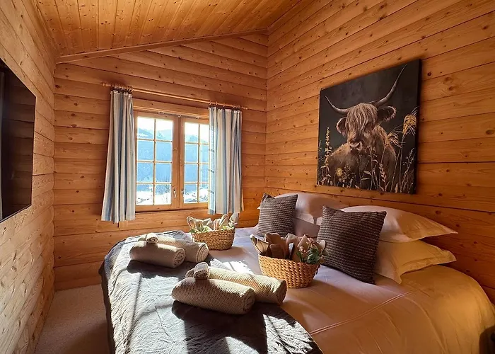 Toccata, Cosy Et Lumineux Les Diablerets