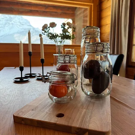 Toccata, Cosy Et Lumineux Les Diablerets